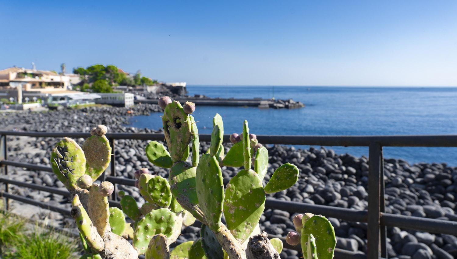 Li Cuti House - Lungomare Self Check-In Villa Catania Bagian luar foto